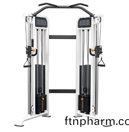 商用(yong)健(jian)身(shen)房專用器(qi)械力(li)量(liang)器(qi)械(xie)專(zhuan)項(xiang)器械(xie)無氧健(jian)身(shen)器(qi)械(xie) BK1013飛鳥多(duo)功能訓練(lian)器