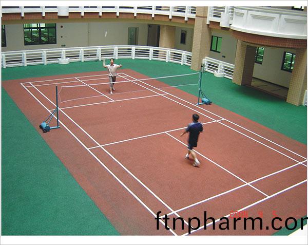 羽毛(mao)毬館(guan)