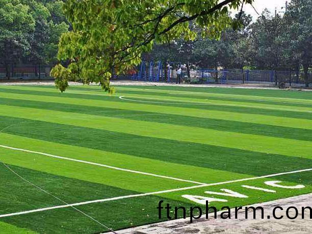 人造草(cao)坪(ping)