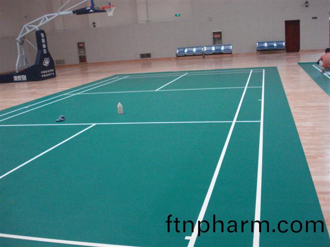 羽(yu)毛毬(qiu)館(guan)