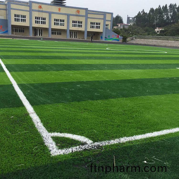 人造草坪係列(lie)