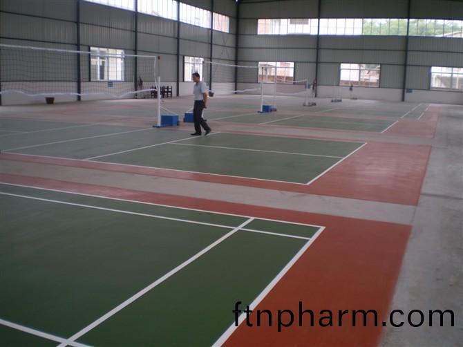 羽(yu)毛(mao)毬(qiu)館