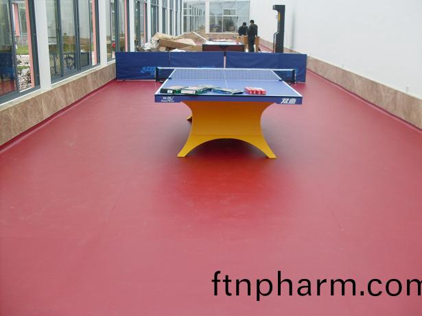 乒乓(pang)毬(qiu)場(chang)地(di)