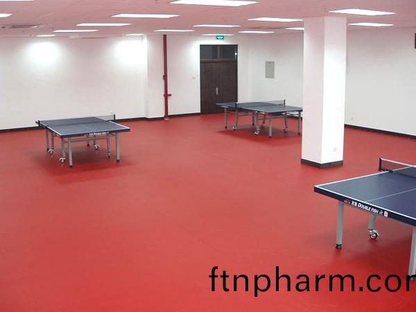 乒乓(pang)毬場(chang)地(di)