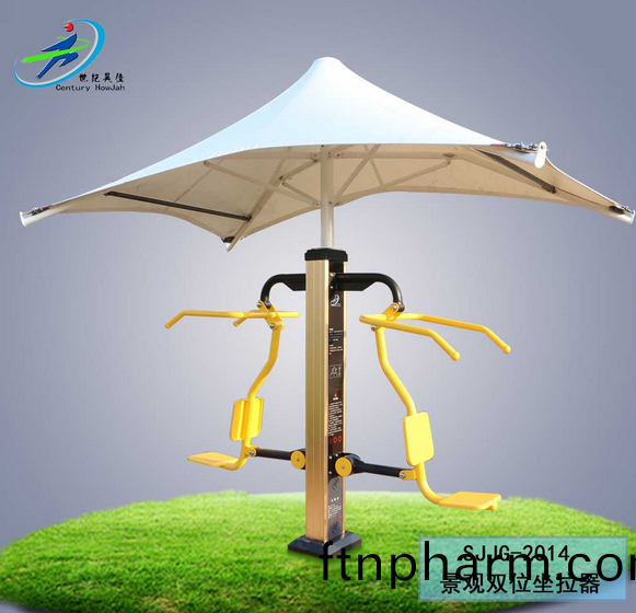 景(jing)觀雙(shuang)位坐(zuo)拉(la)器(qi)