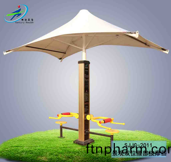 景(jing)觀雙(shuang)位(wei)腰(yao)部按(an)摩器