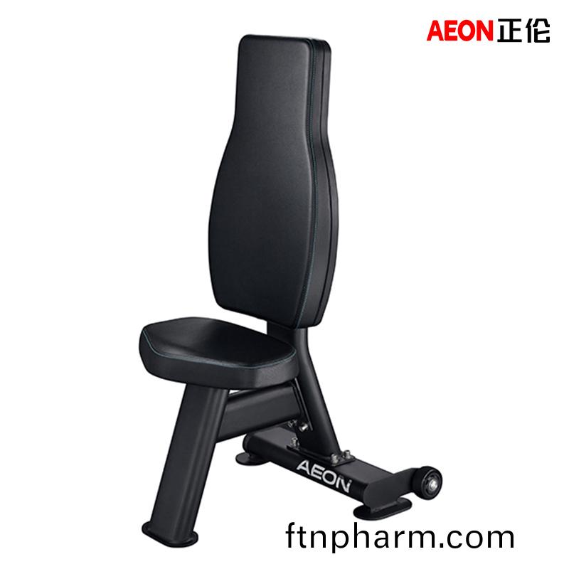AEON 正(zheng)倫 CS-838 多(duo)用(yong)途椅(yi) 直角(jiao)訓練椅