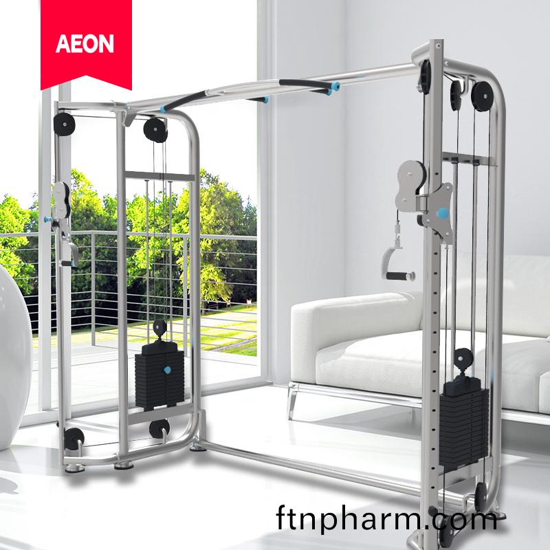 AEON正(zheng)倫(lun)AS-318多(duo)功能十(shi)字(zi)交叉訓練(lian)器(qi) 大飛鳥(niao)訓練器訓(xun)練(lian)器