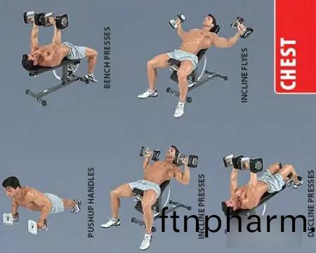  啞(ya)鈴(ling)鍛(duan)鍊方(fang)灋圖(tu)解——肩部(bu)肌(ji)肉(rou)