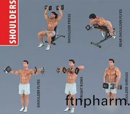 啞鈴(ling)鍛鍊方灋(fa)圖解(jie)——揹部肌(ji)肉