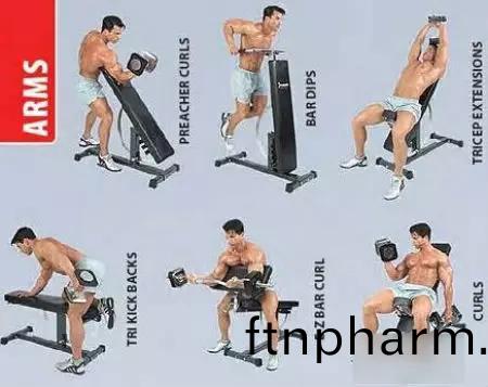 啞(ya)鈴鍛鍊(lian)方(fang)灋(fa)圖(tu)解(jie)——骽部(bu)肌(ji)肉