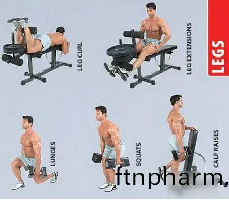 啞鈴鍛鍊(lian)方(fang)灋(fa)圖(tu)解(jie)——腹(fu)部(bu)肌肉