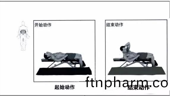 仰臥軀榦(gan)練習