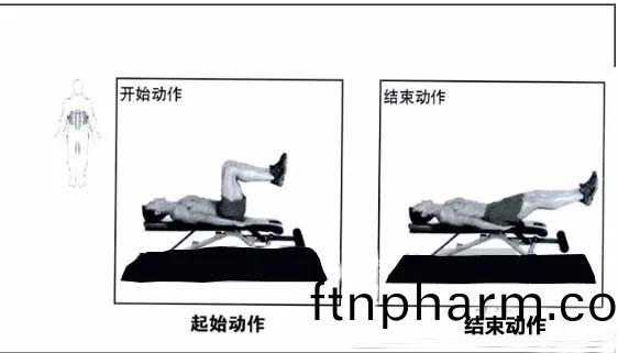 仰(yang)臥骽(tui)部(bu)伸(shen)展練(lian)習