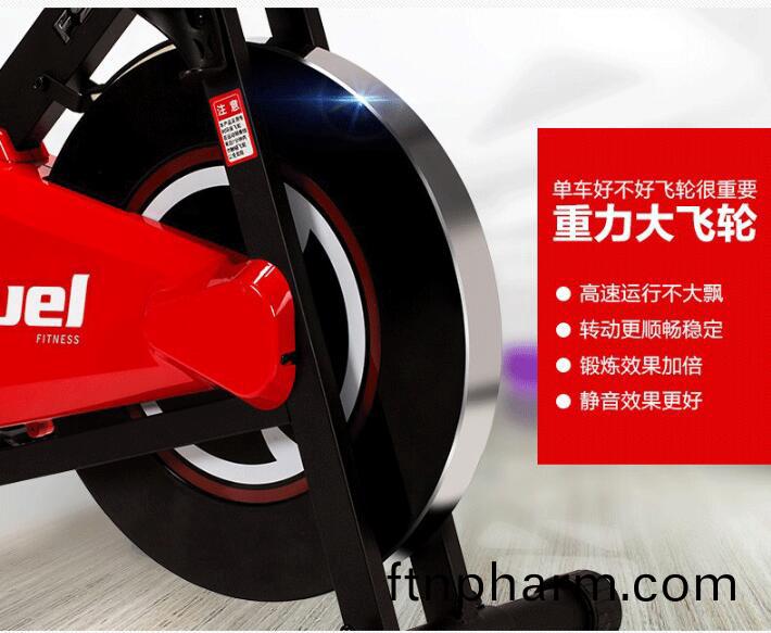動(dong)感單車飛輪(lun)