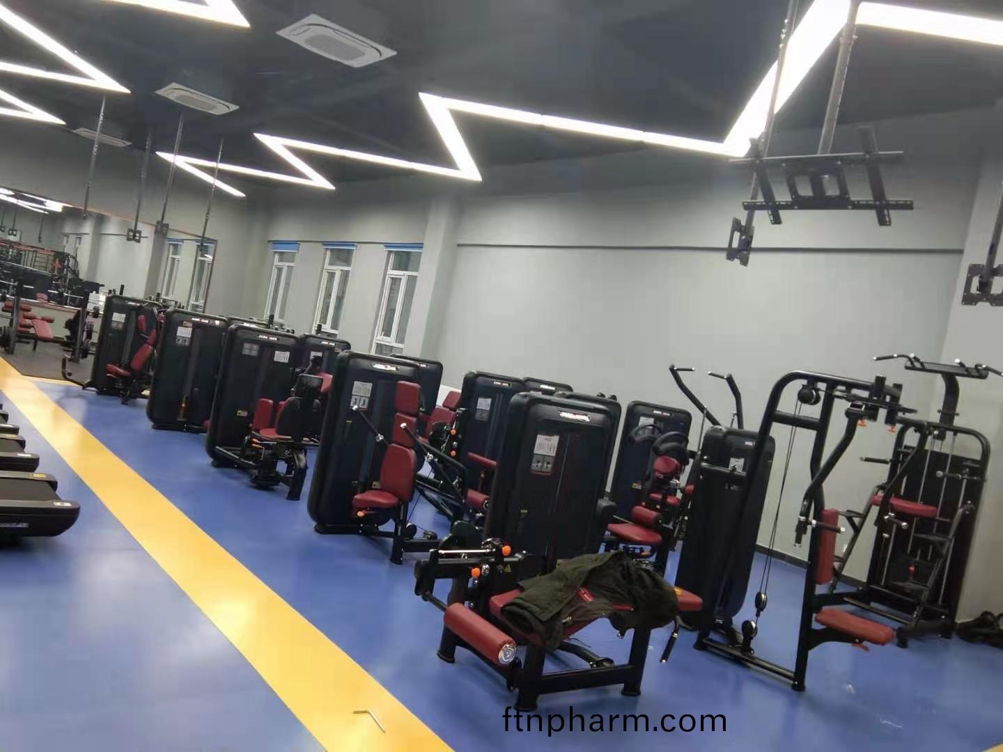 康(kang)強健(jian)身器材