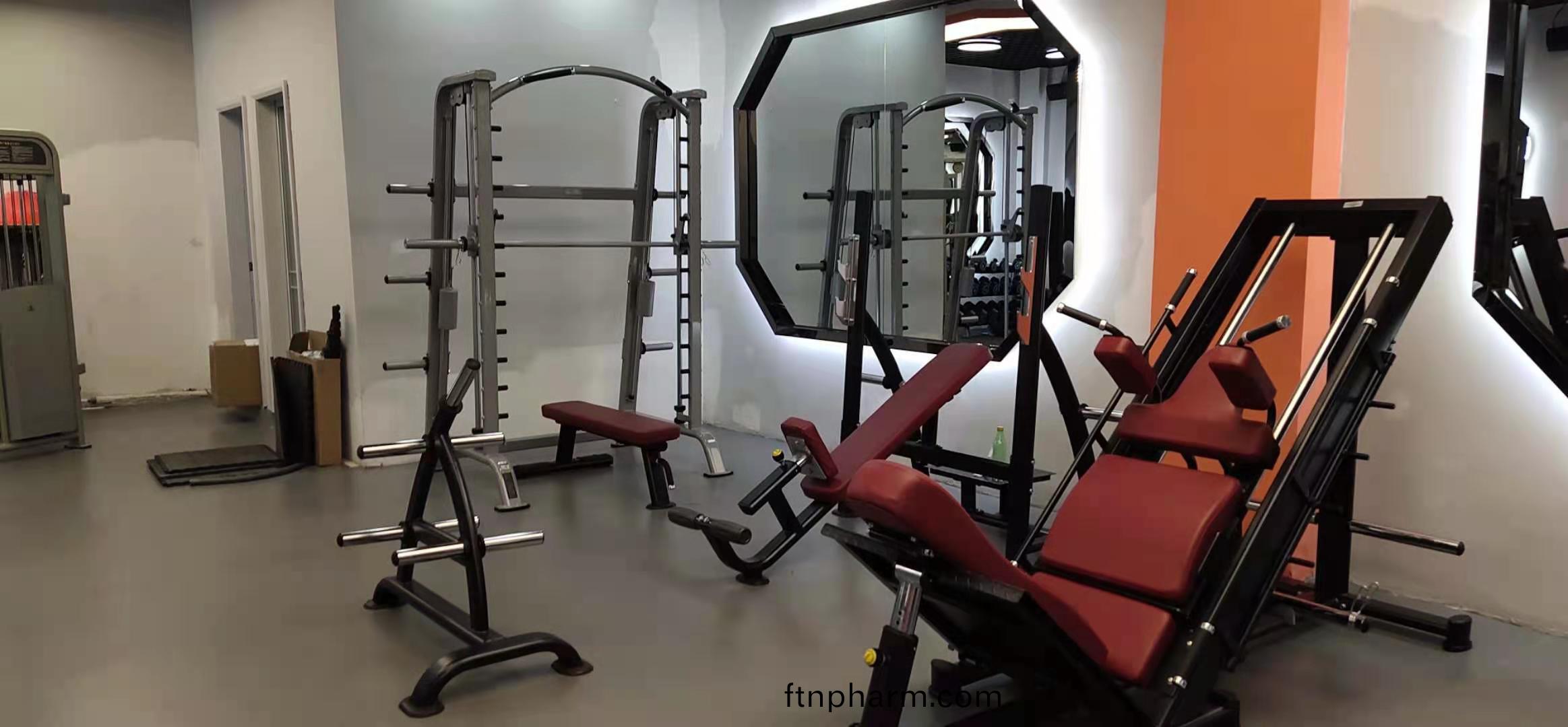 后(hou)骽(tui)屈伸(shen)訓練(lian)器