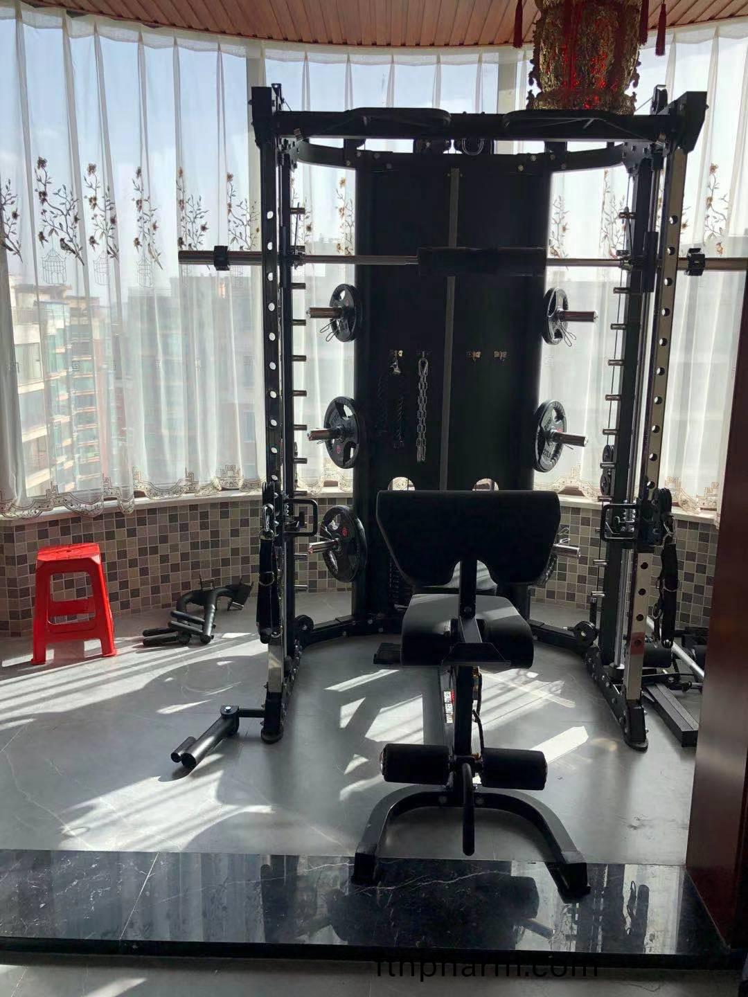 多(duo)功能健(jian)身器(qi)史(shi)密斯機