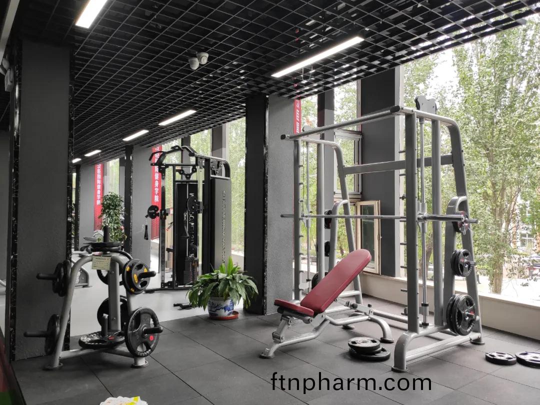 新(xin)生活(huo)健(jian)身(shen)器材(cai)