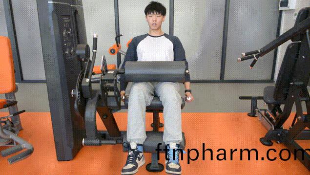 坐(zuo)姿骽屈(qu)伸(shen)器(qi) 坐(zuo)姿骽屈伸器(qi)