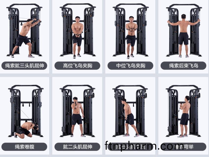 小飛(fei)鳥健(jian)身器材(cai)