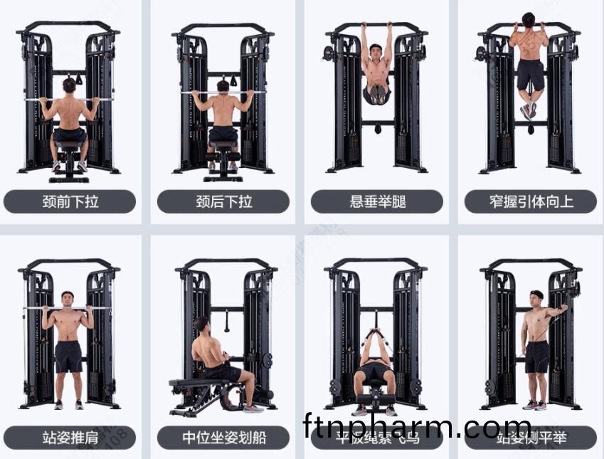 小(xiao)飛(fei)鳥(niao)健身器(qi)材(cai)