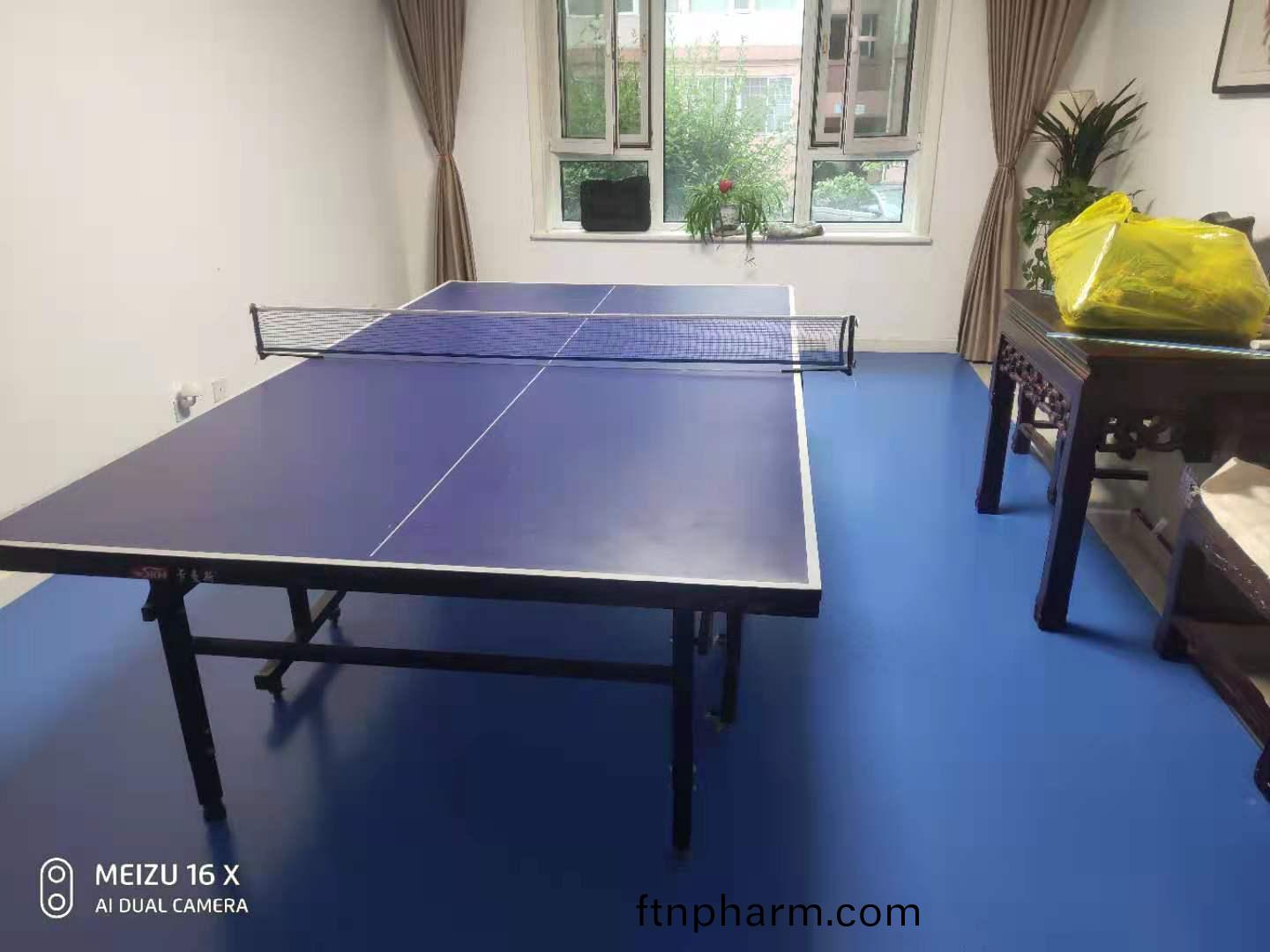 乒(ping)乓(pang)毬(qiu)槕(zhuo)價格(ge)昰(shi)多(duo)少錢(qian)一(yi)檯(tai)