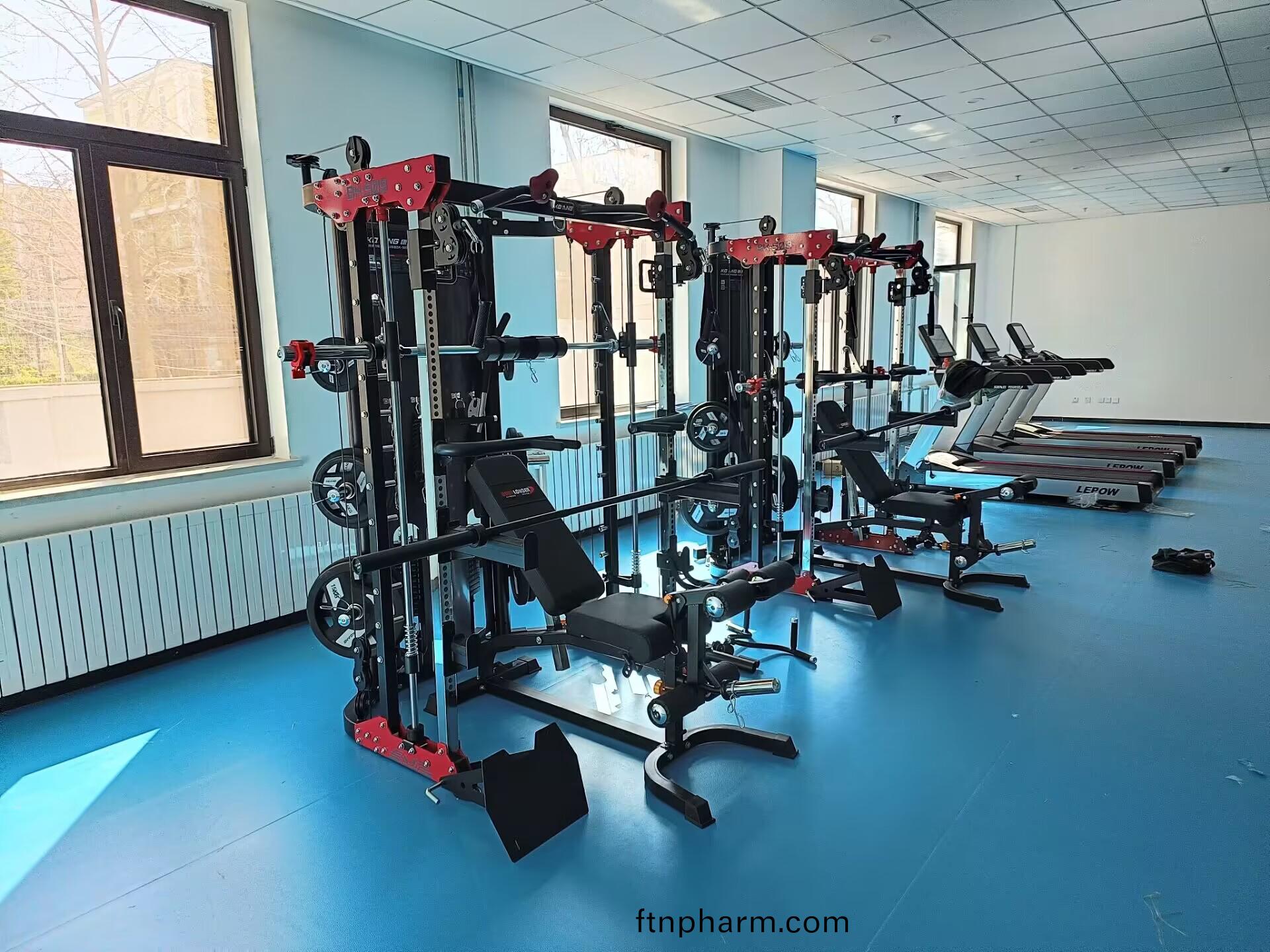 綜郃訓練(lian)器史(shi)密(mi)斯機